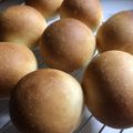 とんとん♫'s cooksnap of when they made プチみるくパン♪.