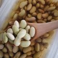 keroko27's cooksnap of when they made 青大豆・ひたし豆【浸し豆】.