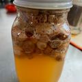 クックY6EUH4☆'s cooksnap of when they made 自家製天然酵母の作り方.