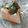 クックUL8OCM☆'s cooksnap of when they made 夏メニュー！キムチ、ごま油豆腐！.