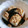 きゃうみ's cooksnap of when they made 簡単デザート豆腐と黒蜜きなこ.