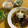 たんけっきー's cooksnap of when they made えのきと玉ねぎの和風煮込みハンバーグ♡.