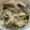 キャロットわたぷー's cooksnap of when they made 簡単☆新玉ねぎとしめ鯖の和え物.