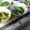 ｶｲｻﾅﾘｮｳ's cooksnap of when they made ちくわと小松菜の中華和え.