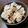 ことりゃん。's cooksnap of when they made ご飯に合う！定番☆ひじき梅.