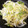 saTomycook's cooksnap of when they made 空豆の卵とじ.