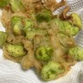 るんるん3019's cooksnap of when they made 失敗しないかきあげ☆そら豆えび新玉ねぎ.