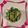 ☆hironon☆'s cooksnap of when they made きゅうりの前菜.