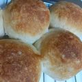 めちゃイケ好き～'s cooksnap of when they made アレルギー対応の丸パン！卵、乳製品なし！.