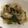 さばのよしこ's cooksnap of when they made 新たまねぎと手羽元の白ワイン煮.