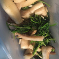吉井さん☆'s cooksnap of when they made エリンギと豆苗の炒め物.