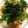 ☆ＳＡＥ☆'s cooksnap of when they made 納豆きつね丼♫♬.