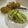 休憩中♪'s cooksnap of when they made ビタミンデザート✨キーウィの食べ方.