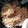 ㌧㌧とんじる's cooksnap of when they made 簡単！えのきと麺つゆだけ　優しいなめたけ.