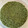 ことりょうママ's cooksnap of when they made スギナ茶.