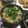 ますとー's cooksnap of when they made コアユ（小鮎）の炊き込みご飯.