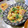 みぃすけママちゃん's cooksnap of when they made 鶏モモ肉と蕪の蒸し煮.