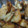 ぶたまんじゅう's cooksnap of when they made めんつゆに付けるだけ！たけのこのから揚げ.