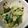 クック7FNN0F☆'s cooksnap of when they made ガッツリ系ピリ辛きゅうりのたたき.