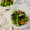 ankotetu's cooksnap of when they made 小松菜と人参の塩こぶ炒め.