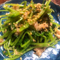 tocoletti's cooksnap of when they made 豆苗とツナと塩昆布の和えたん.