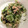 terry1014's cooksnap of when they made 時短！ツナときゅうりとワカメの和え物.