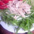 ひめポ's cooksnap of when they made ☆簡単すぎる☆とり胸肉と水菜のサラダ.