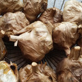 アンケセナ's cooksnap of when they made 炊飯器で簡単!! 家庭で熟成黒にんにく.