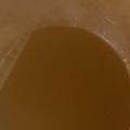 アトムガール's cooksnap of when they made 炊飯器で簡単☆梅ジュース(梅シロップ).