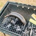 ねっちゃんっ's cooksnap of when they made バーベキュー♪バナナ.