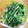 yumihuar's cooksnap of when they made 簡単 ニラの胡麻和え.