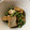 Marmo's cooksnap of when they made うすいえんどうと厚揚げの煮物.