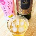 にきけん's cooksnap of when they made なんちゃってサングリア！！.