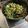 クックS13NCH☆'s cooksnap of when they made スタミナ☆豚とニンニクの芽の中華風炒め.