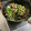 クックS13NCH☆'s cooksnap of when they made スタミナ☆豚とニンニクの芽の中華風炒め.