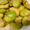 さちぞー221's cooksnap of when they made そら豆(ファーベ)美味しい下処理 茹で方.
