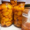 サヨ綿's cooksnap of when they made あんずのシロップ漬け.