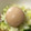 かーる２０'s cooksnap of when they made 簡単美味しい♪とろとろ～な味染み煮玉子♡.