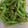 yuriレシピ's cooksnap of when they made おいしい枝豆の茹で方.