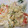 nomoママ's cooksnap of when they made えびとアボカドのマヨ炒め.