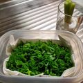 美らはいび's cooksnap of when they made エコ！万能ねぎ＊保存＆栽培しよ～♬.