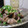 ダイナマイト漆黒's cooksnap of when they made おつまみに！砂ズリゆずこしょう炒め.