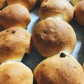 kuromee313's cooksnap of when they made HBで　基本のシンプルちぎりパン.
