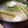 ﾋﾟﾛﾐ♡'s cooksnap of when they made 豆腐と九条ネギの味噌汁.