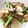 ○☆神楽☆○'s cooksnap of when they made かぶと椎茸のソテーサラダ.