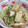 ここみ☆ゆりあママ's cooksnap of when they made 生揚げとたっぷり野菜の炒め物.