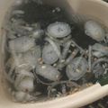 ﾌﾞﾚﾝﾀﾞ's cooksnap of when they made 茹で鶏とスープストック.