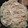 みこひろママ's cooksnap of when they made しらたきとエノキの煮物.