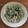 クック1FX93J☆'s cooksnap of when they made コマツナとツナのささっと辛子マヨ和え.