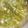 クック8W4H9J☆'s cooksnap of when they made あっさりサッパリ♡ねぎ塩レモンだれ.